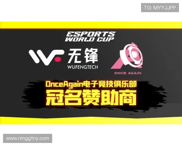 《守望先锋电竞赛事动态更新 新赛季战队阵容与赛程亮点》